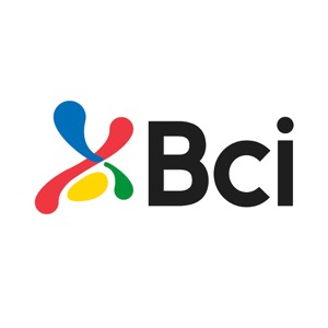 Banco de Crédito e Inversiones